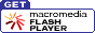 Get the Flash player